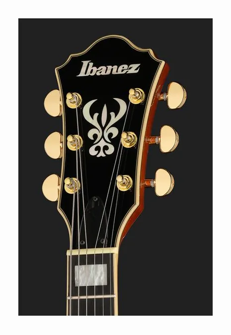 Ibanez AG95MG-DA, vista posteriore del corpo