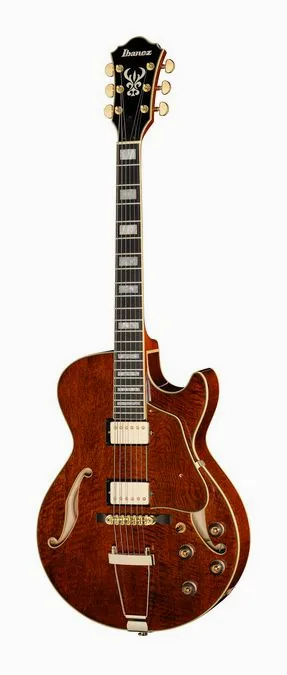 Ibanez AG95MG-DA inquadrato di fronte su sfondo neutro