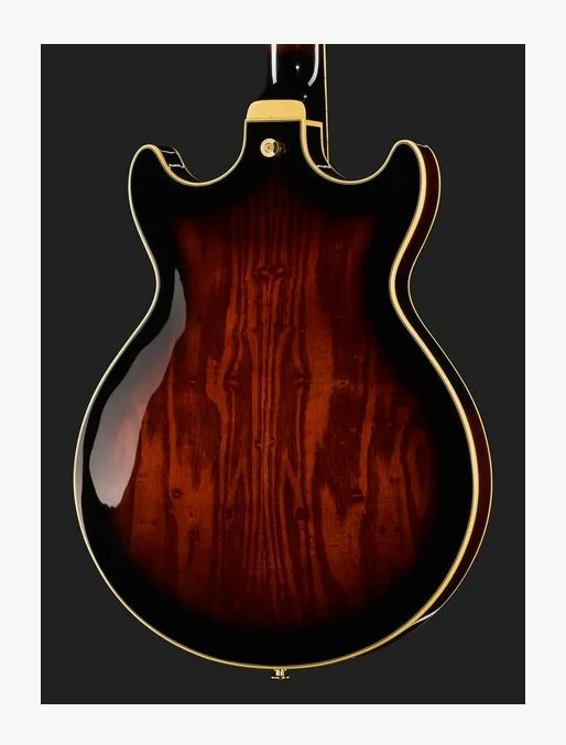 Ibanez AM153QA-DBS, pickup e manopole dei controlli