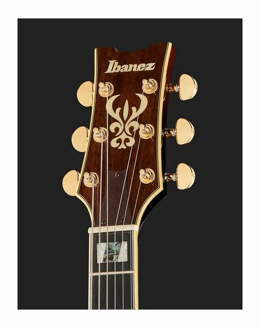 Ibanez AM153QA-DBS, pickup e manopole dei controlli