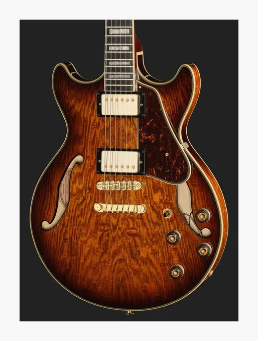 Ibanez AM93QA-VVH, pickup e manopole dei controlli