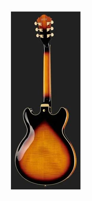 Ibanez AS113-BS, pickup e manopole dei controlli