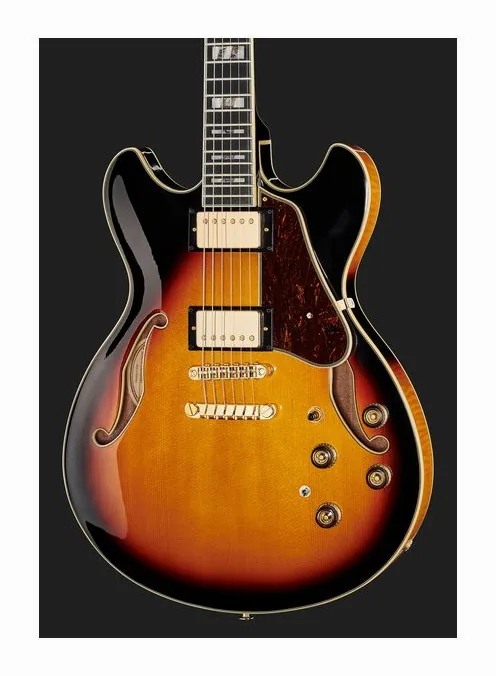 Ibanez AS113-BS, vista posteriore del corpo