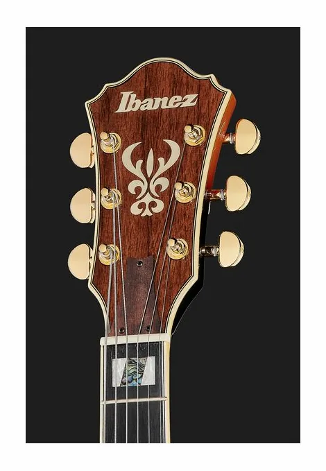 Ibanez AS113-BS, selettore pickup e jack di uscita
