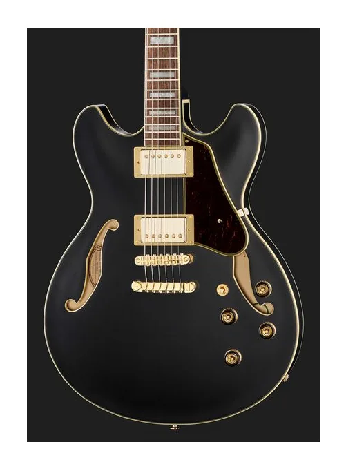 Ibanez AS73 G BKF, pickup e manopole dei controlli