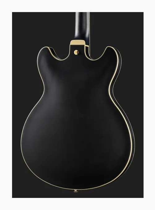 Ibanez AS73 G BKF, manico e tastiera visti di lato