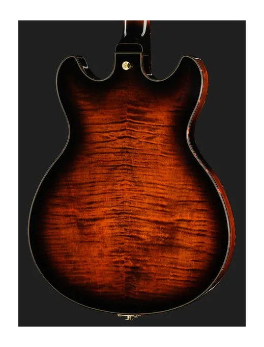 Ibanez ASH300-TBC, capotasto e prime posizioni della tastiera
