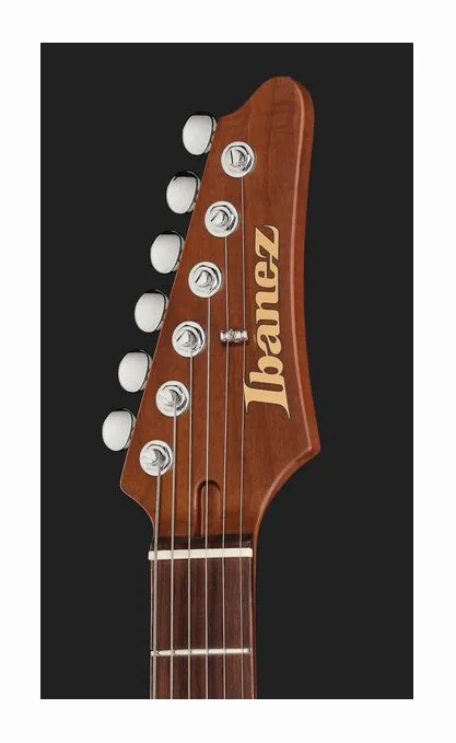 Ibanez AZ2203N-BK, paletta con meccaniche e logo