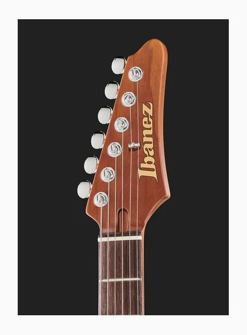 Ibanez AZ2204NW-DTB, vista posteriore del corpo