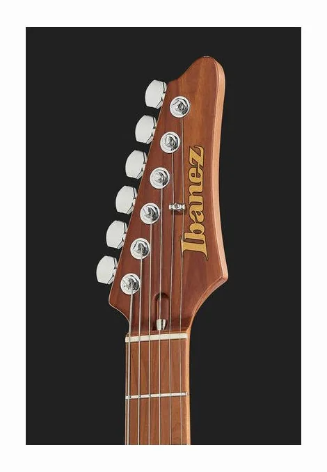 Ibanez AZ2402-TFF, pickup e manopole dei controlli