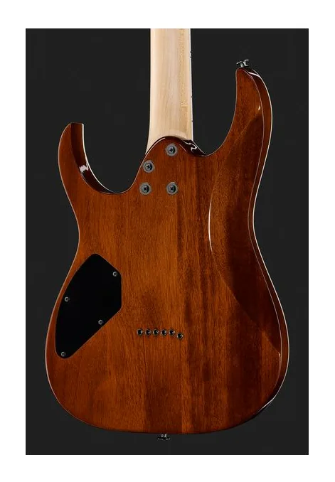 Ibanez GRGR221PA-AQB, pickup e manopole dei controlli
