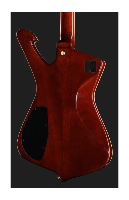 Ibanez IC420FM-TBG, manico e tastiera visti di lato