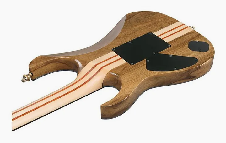 Ibanez IV2RG Visions RG, vista posteriore del corpo