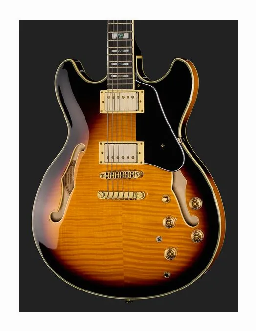 Ibanez JSM10-VYS John Scofield, manico e tastiera visti di lato