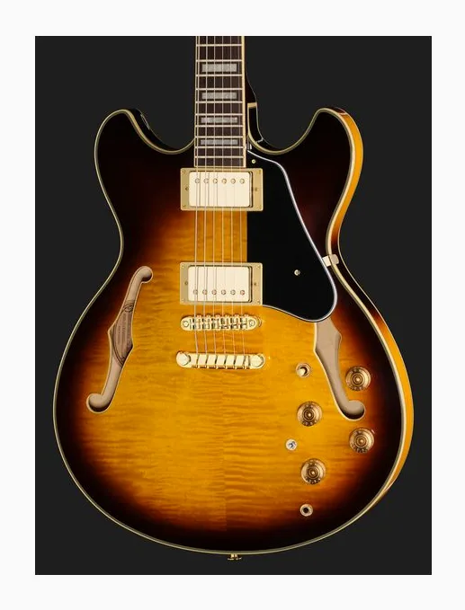 Ibanez JSM10EM-TTB John Scofield, pickup e manopole dei controlli