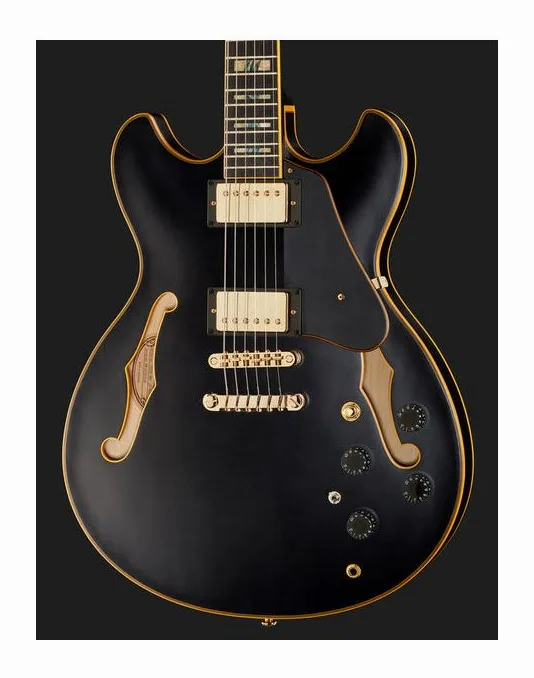 Ibanez JSM20-BKL, paletta con meccaniche e logo