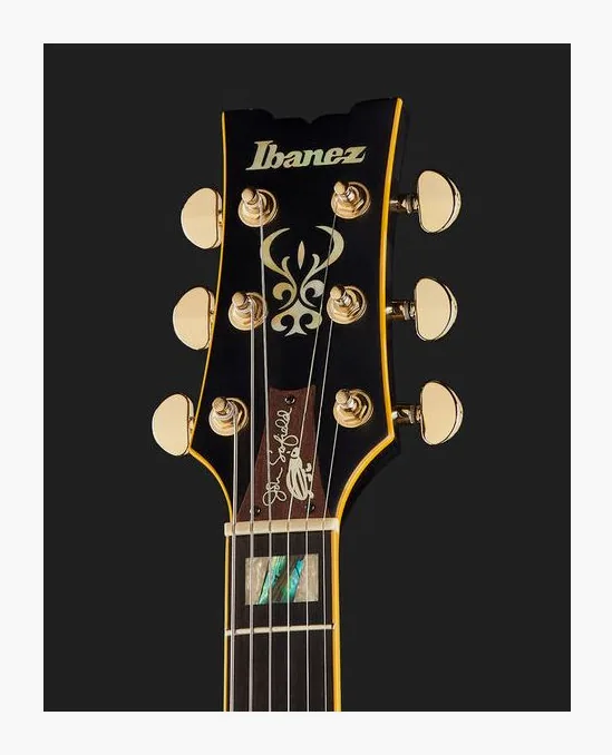 Ibanez JSM20-BKL, curve del body viste dall'alto