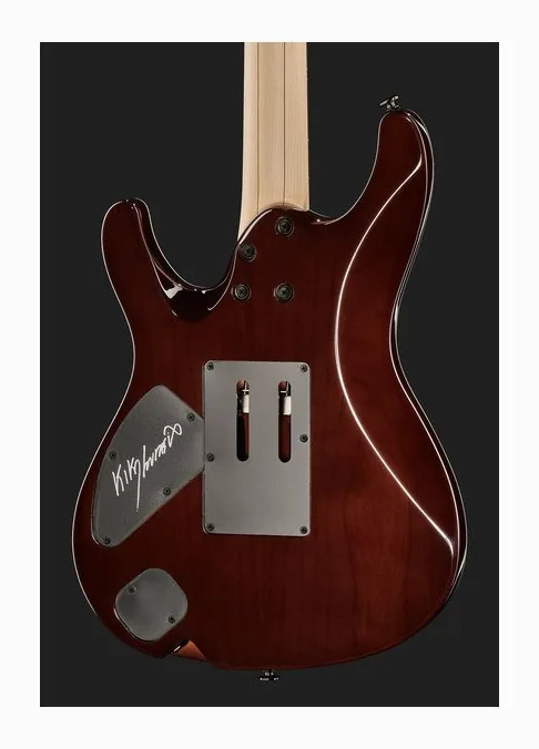 Ibanez KIKO100-TRR, paletta con meccaniche e logo