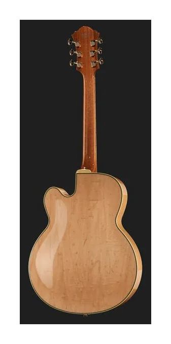 Ibanez PM200-NT Pat Metheny, capotasto e prime posizioni della tastiera