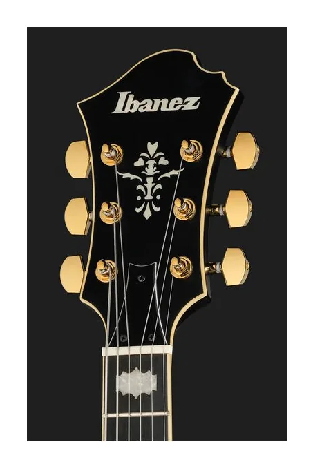 Ibanez PM3C-BKL Pat Metheny, pickup e manopole dei controlli