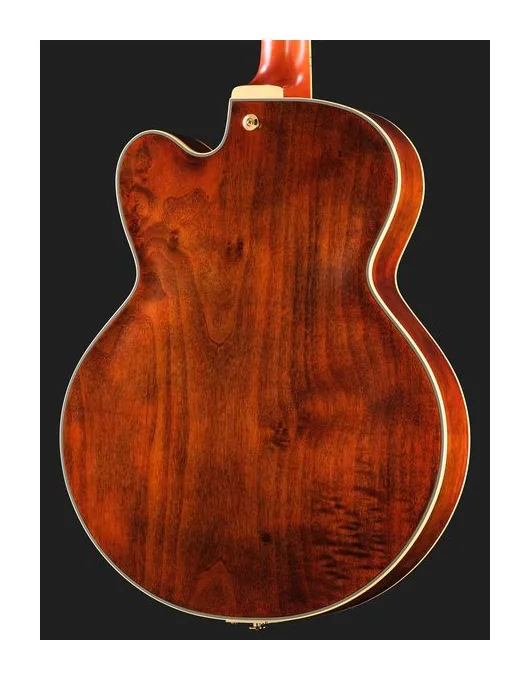 Ibanez PM3C-NAL Pat Metheny, pickup e manopole dei controlli