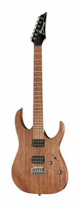 Ibanez RG421-MOL visto di fronte