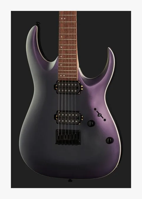 Ibanez RGA42EX-BAM, ponte e meccaniche di intonazione