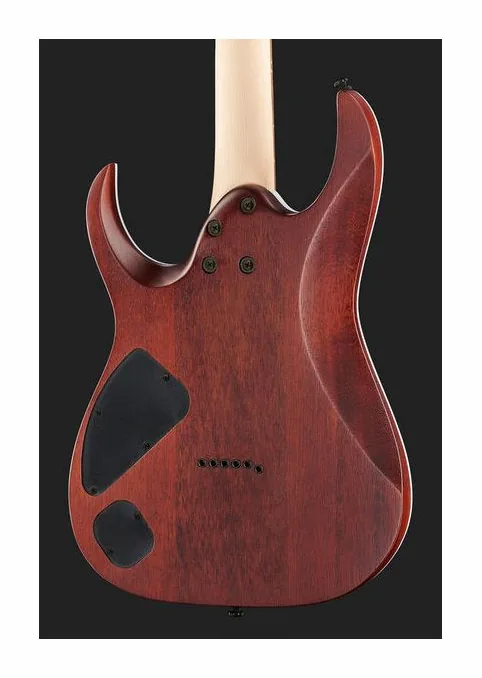 Ibanez RGA42FM-DEF, ponte e meccaniche di intonazione