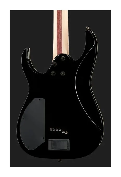 Ibanez RGIB21-BK, pickup e manopole dei controlli