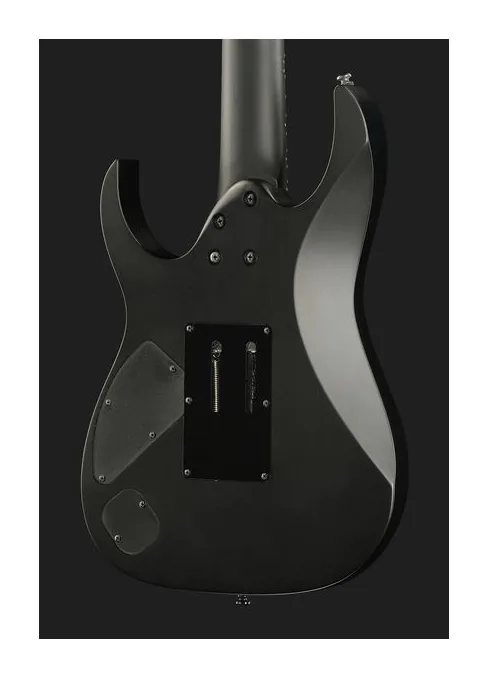 Ibanez RGRB720-BKF, paletta con meccaniche e logo