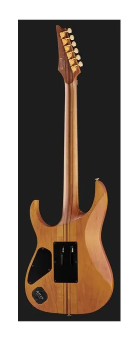 Ibanez RGT1220PB-ABS, pickup e manopole dei controlli
