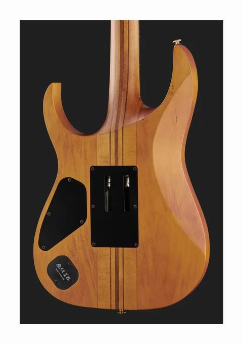 Ibanez RGT1220PB-ABS, pickup e manopole dei controlli