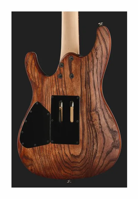 Ibanez S520AH-ABS, paletta con meccaniche e logo