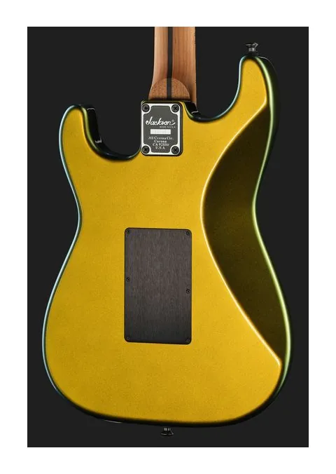 Jackson Custom Shop USA So-Cal AG, selettore pickup e jack di uscita
