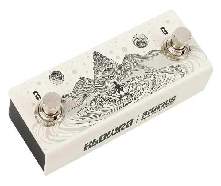 Klowra Animus Dual Footswitch, connettori sul retro dell'unita