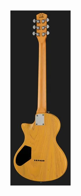 Larry Carlton I5T Butterscotch, paletta con meccaniche e logo