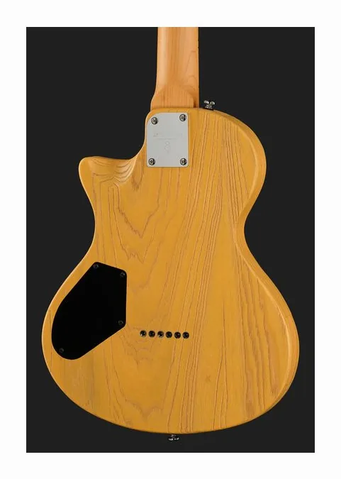 Larry Carlton I5T Butterscotch, curve del body viste dall'alto