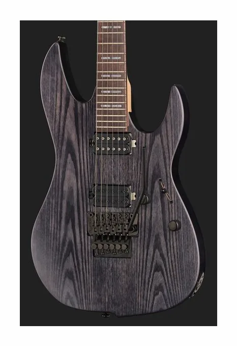 Larry Carlton X5 TBKS, paletta con meccaniche e logo