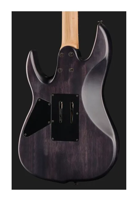 Larry Carlton X5 TBKS, vista posteriore del corpo