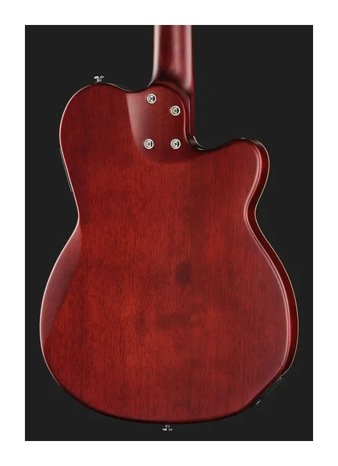 Larry Carlton G5N Natural LH, manico e tastiera visti di lato
