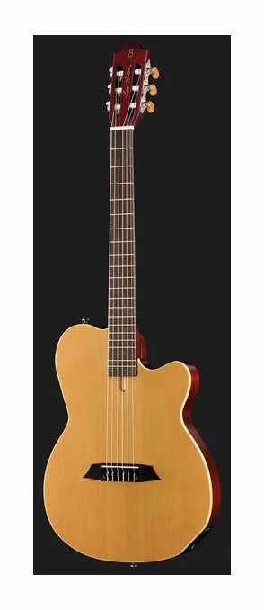 Larry Carlton G5N Natural, paletta con meccaniche e logo