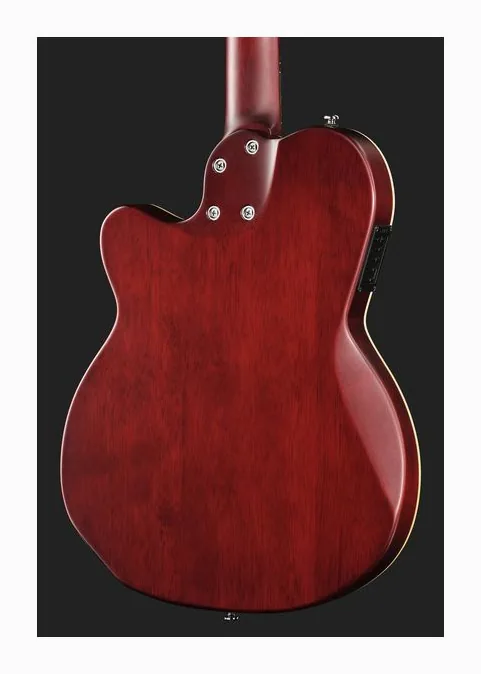 Larry Carlton G5N Natural, paletta con meccaniche e logo