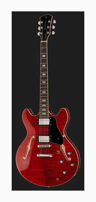 Larry Carlton H7 STR, vista posteriore del corpo