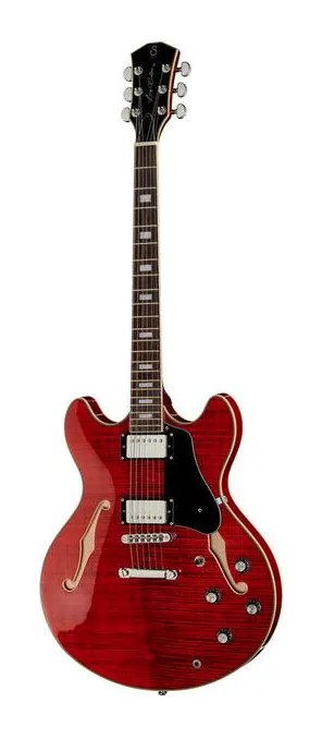 Larry Carlton H7 STR in primo piano frontale