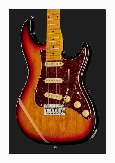 Larry Carlton S5 3-Tone Sunburst, vista posteriore del corpo