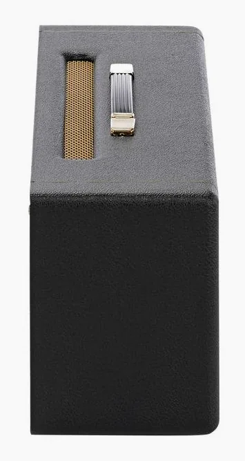 Marshall 1959 HW, manopole e selettore dei canali