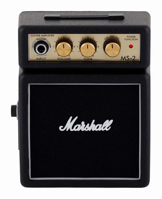 Marshall MS-2, manopole e selettore dei canali