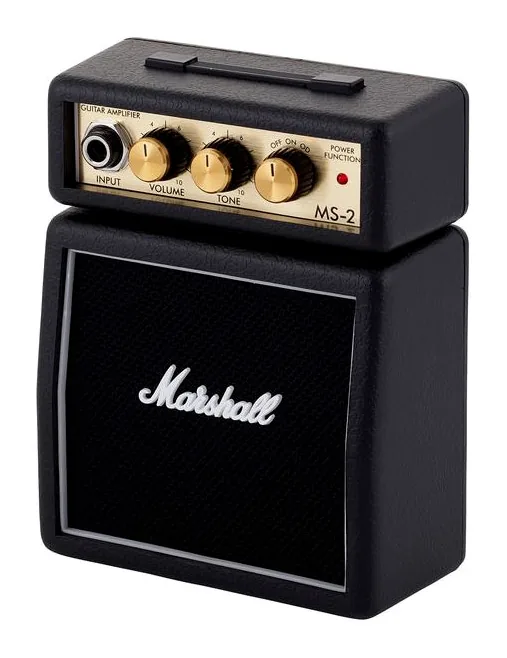 Marshall MS-2 in primo piano frontale