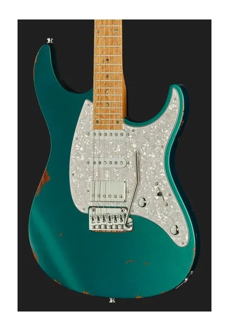 Mayones Guitars Aquila Aged V24 6 MMNG, paletta con meccaniche e logo