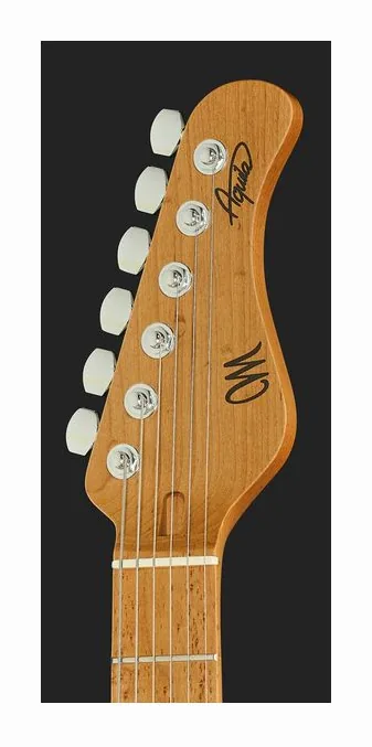 Mayones Guitars Aquila Aged V24 6 MMNG, manico e tastiera visti di lato